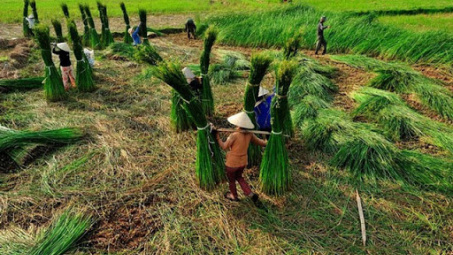 Nga Sơn - Thanh Hóa: Hành trình 10 năm cho một huyện Nông thôn mới