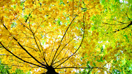 Hà Nội vào thu rồi đấy nhỉ!