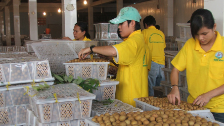 Tự tin đưa nhãn Hải Dương đến thị trường châu Âu, Australia, Singapore