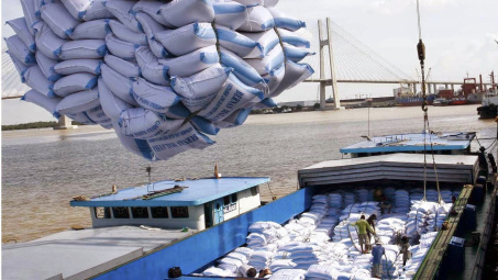 Doanh nghiệp Việt xuất khẩu gạo sang EU có phải đăng ký hạn ngạch?