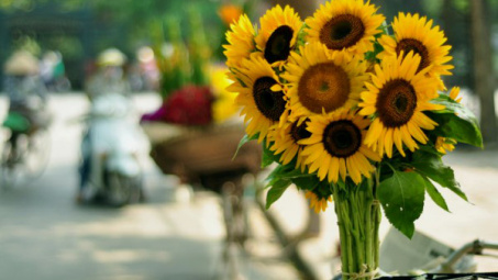 Thời tiết 10-8: Miền Bắc nắng nóng quay trở lại