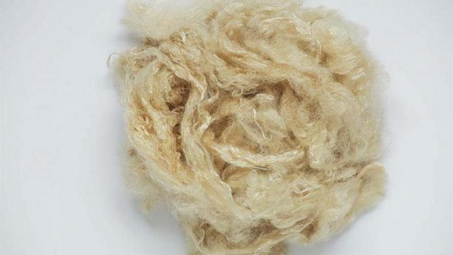 Rong biển, kẽm để chế tạo sợi thông minh thân thiện với làn da