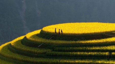 Mù Cang Chải có gì đặc biệt mà bạn nhất định phải đến