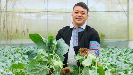 Rạng rỡ sinh kế Vân Hồ