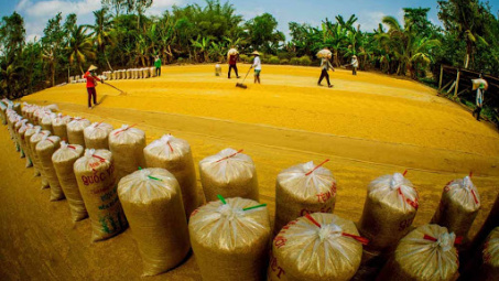 Bộ Công Thương ban hành Chỉ thị về bảo đảm an ninh lương thực quốc gia đến năm 2030