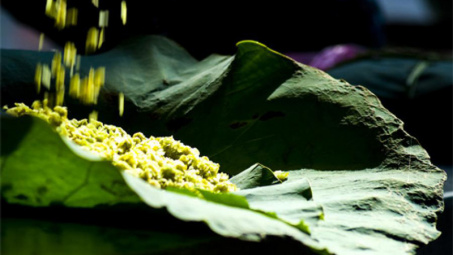 "Mùa cốm xanh về, thơm bàn tay nhỏ"…