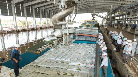 Đạm Cà Mau đạt mốc 7 triệu tấn ure