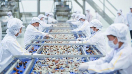 Sơn La: Khánh thành nhà máy chế biến hoa quả tươi 3.500 tỷ