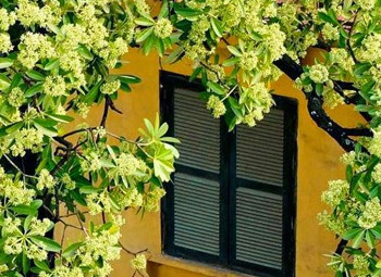 Thời tiết 22-9: Bắc bộ tiết thu mát mẻ, chuẩn bị đón đợt không khí lạnh yếu