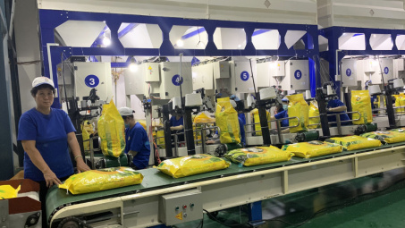 Lô gạo thơm đầu tiên chính thức được xuất sang EU theo EVFTA