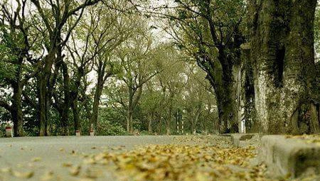 Thời tiết 24-9: Miền Bắc đón gió mùa đông bắc nhẹ, cảnh báo mưa dông, lốc sét