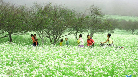 Liên kết bốn nhà trong sản xuất nông nghiệp của tỉnh Sơn La