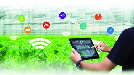 Managing the agricultural data system of Tay Ninh Province by using the ontology-based data organization method