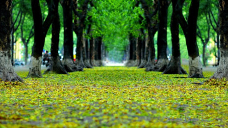 Thời tiết 26-9: Bắc bộ mưa dông trên diện rộng