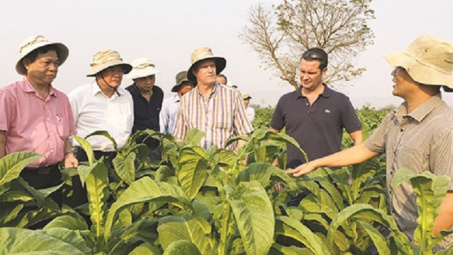 Công ty Cổ phần Hòa Việt: Đồng bộ các hoạt động về bảo vệ môi trường