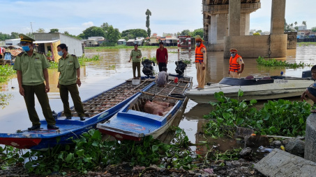 Bỏ lại đàn heo hơi trị giá hàng trăm triệu đồng khi thấy QLTT kiểm tra