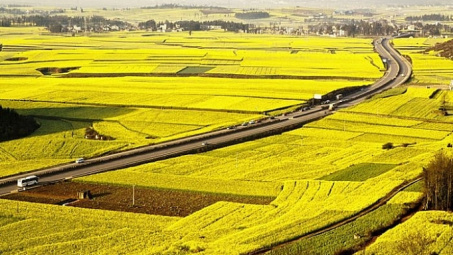 Chính sách tạo việc làm cho người dân vùng bị thu hẹp đất nông nghiệp: Kinh nghiệm của một số địa phương và gợi ý cho tỉnh Vĩnh Phúc