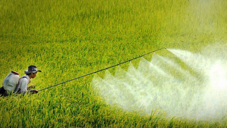 Các quy định về điều kiện đối với cơ sở mua bán thuốc bảo vệ thực vật và những vấn đề đặt ra