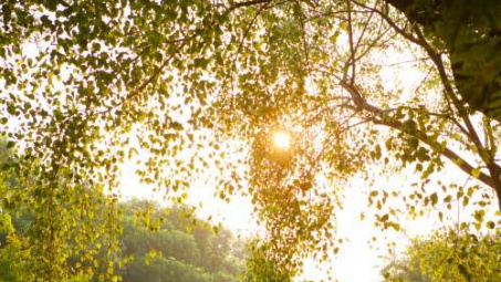 Thời tiết 6-9: Kết thúc đợt nắng, Bắc Bộ bước vào đợt mưa dông