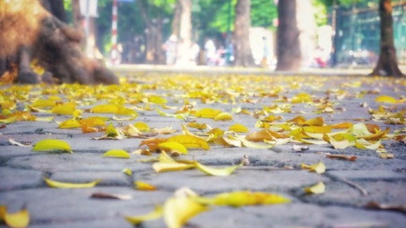 Thời tiết 10-9:  Mưa rào, dông rải rác