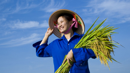 Doanh nghiệp được tự do xuất khẩu gạo hữu cơ