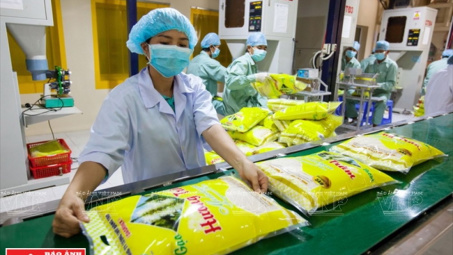 Tập đoàn phân phối gạo lớn nhất Australia mua lại nhà máy chế biến gạo Việt Nam