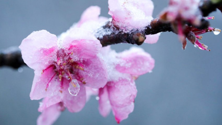 Thời tiết 12-1: Miền Bắc tiếp tục rét đậm, rét hại, trưa chiều hửng nắng