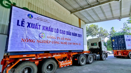 Lô gạo thơm xuất khẩu đầu năm 2021 đạt giá 750 USD/tấn