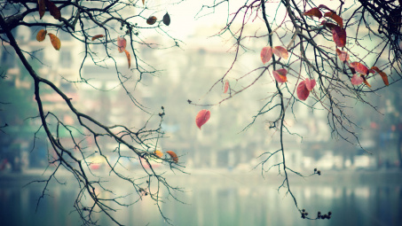 Thời tiết 18-1: Không khí lạnh tăng cường, miền Bắc nằm sâu trong đợt rét đậm, rét hại