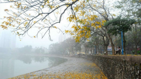 Thời tiết 22-1: Bắc bộ có sương mù nhẹ, trưa chiều hửng nắng