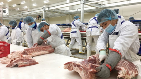 Rót 1,4 tỷ USD, Tập đoàn AVG của Nga đầu tư khu chế biến thịt lợn tại Thanh Hóa