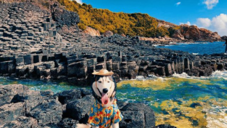 Bamboo Airways chính thức khai trương đường bay Tuy Hòa - TP. Hồ Chí Minh