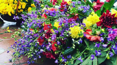 Thời tiết 23-1: Bắc bộ sáng sớm trời rét, trưa chiều hửng nắng, nhiệt độ tăng nhẹ