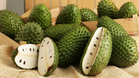 Ảnh hưởng của điều kiện chần và trữ đông đến chất lượng purée mãng cầu gai