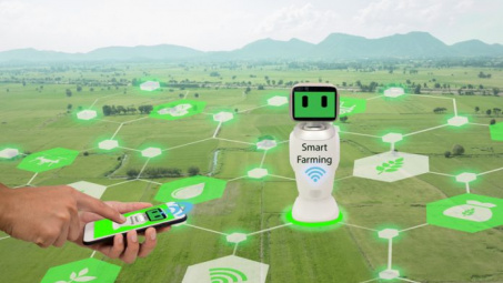 Một số chính sách và giải pháp phát triển nông nghiệp công nghệ cao ở Thành phố Hà Nội