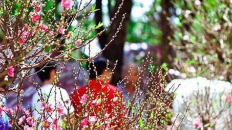 Thời tiết 27-1: Bắc bộ trời ấm trước khi đón đợt gió mùa mới