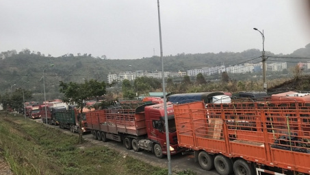 Tăng thời gian mở cửa khẩu Kim Thành, Lào Cai lên 22 giờ để giảm ùn tắc