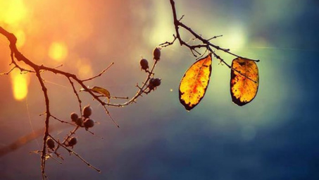 Thời tiết 5-1: Bắc bộ trời tiếp tục rét, trưa chiều giảm mây, nền nhiêt tăng nhẹ