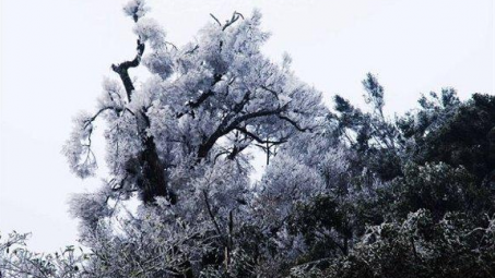 Thời tiết 10/1: Từ Bắc Bộ đến Thừa Thiên Huế chìm trong giá rét