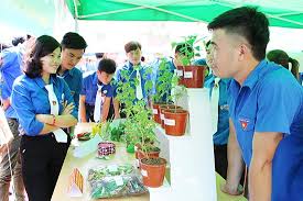 Khởi nghiệp đổi mới sáng tạo của sinh viên các trường đại học tại Việt Nam