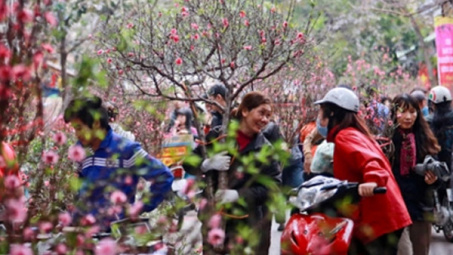 Đề xuất nghỉ Tết Nguyên đán 2022 kéo dài 9 ngày