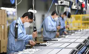 Tăng cường liên kết doanh nghiệp, tham gia chuỗi giá trị