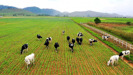 Đề xuất mô hình nghiên cứu các nhân tố ảnh hưởng đến hành vi ứng dụng công nghệ cao trong ngành chăn nuôi