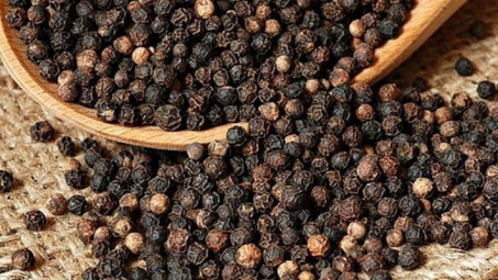 Giá hạt tiêu nội địa tăng mạnh