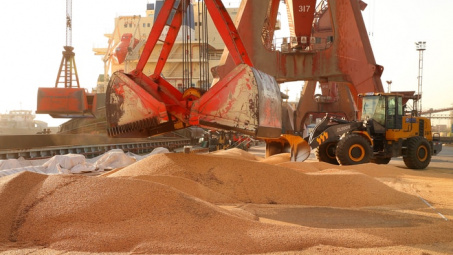 Dự báo Trung Quốc sẽ tăng cường thu mua đậu tương và dầu đậu tương thời gian tới