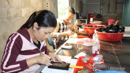 Pearlfarm khởi nghiệp được xây dựng từ chính trải nghiệm