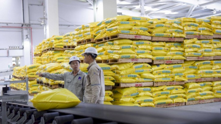 PVFCCo: Lợi nhuận quý III/2021 đạt hơn 630 tỷ đồng