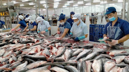 Việt Nam tăng xuất khẩu cá tra sang Ai Cập, UAE
