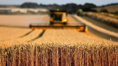 Thị trường nông sản thế giới trải qua tuần giao dịch vắng lặng