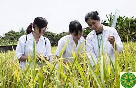 Giải pháp phát triển nguồn nhân lực ngành kinh doanh nông nghiệp
